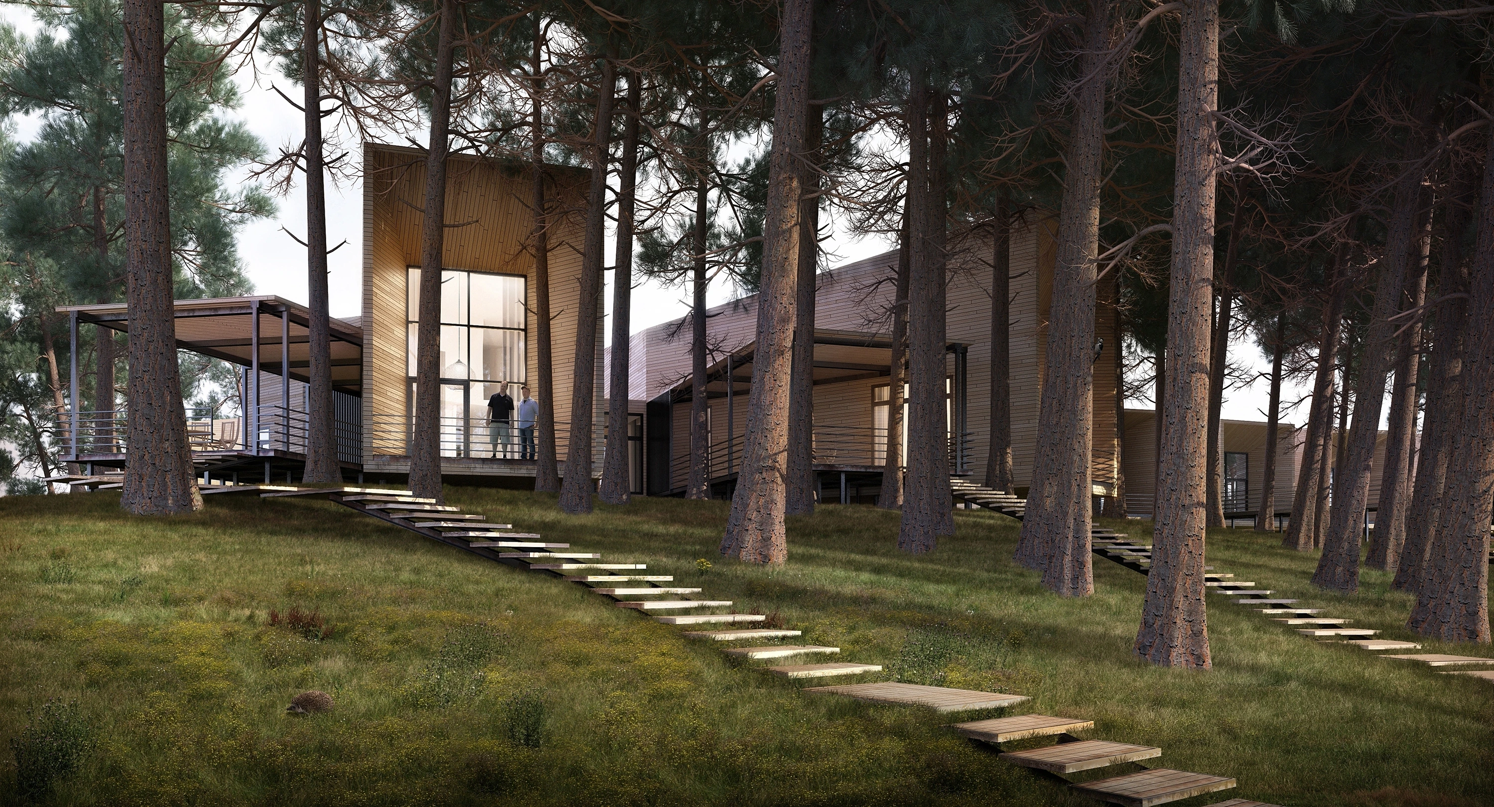 Svechanka cabins among tall pines, linked by plank stairways, with people on a terrace.